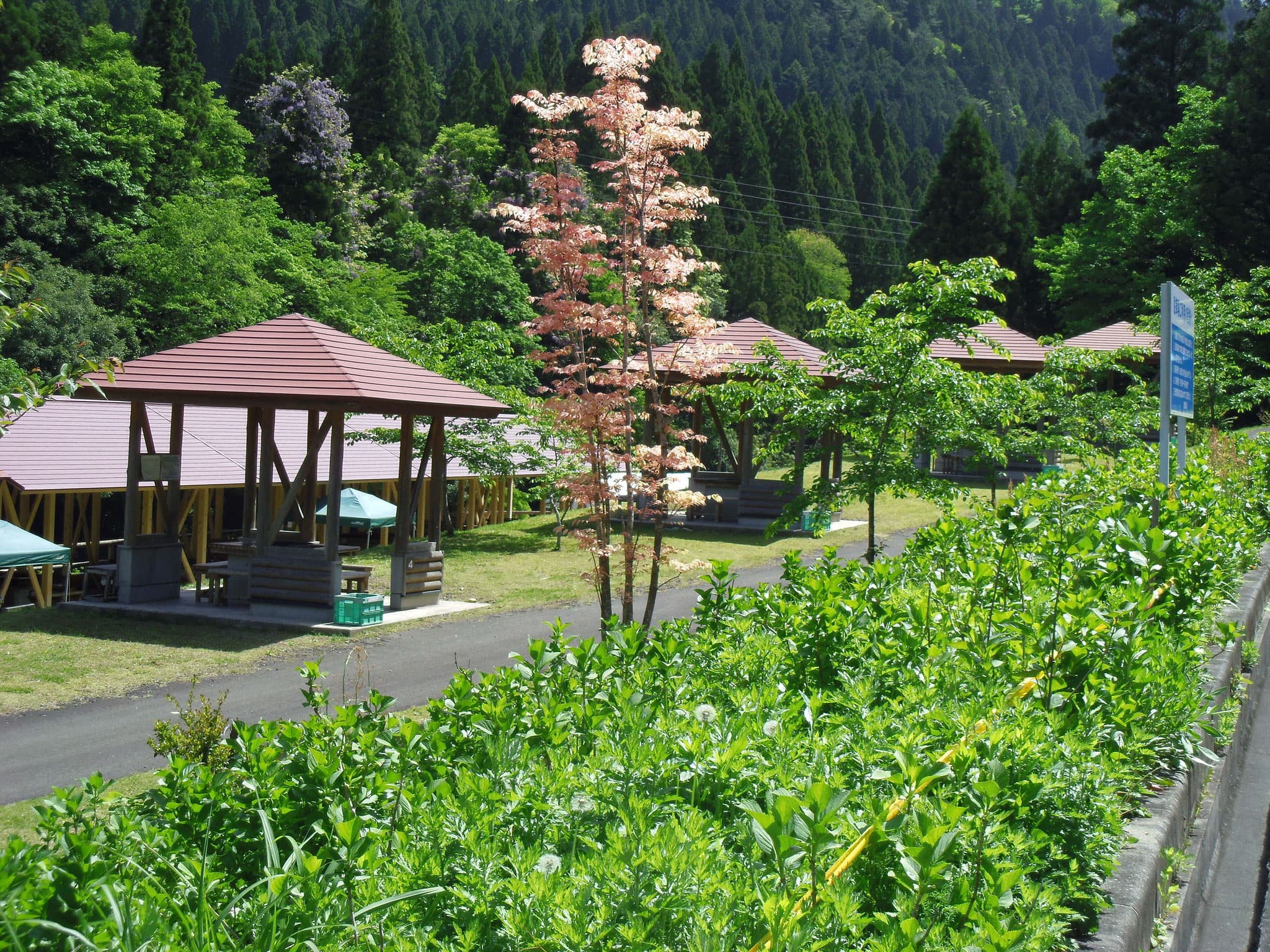 四季の森_BBQ場