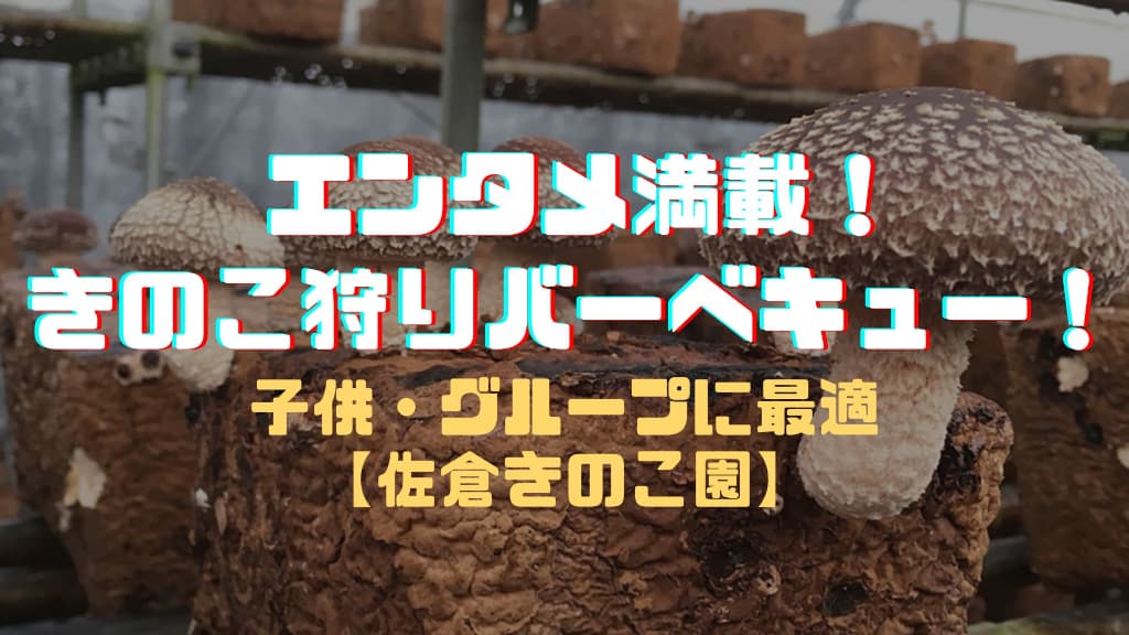 エンタメ満載！きのこ狩りバーベキュー！子供・グループに最適【佐倉きのこ園】