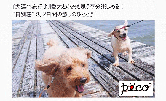 犬連れ旅行特集でバリスタイル館山が取り上げられました。